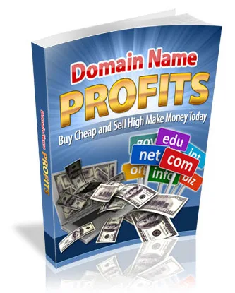 🚀 Domain Name Profits – eBook with Master Resell Rights – Ready to Download