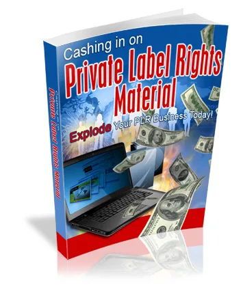 🔥 Cashing in on Private Label Rights Material with MRR – High-Quality PLR