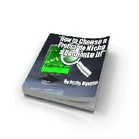 ⭐ How to Choose a Profitable Niche and Dominate It – MRR eBook – PLR & MRR Product