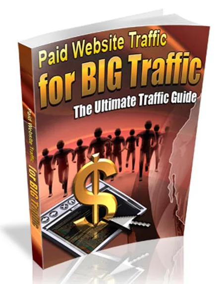 🎯 Paid Website Traffic for Big Traffic – MRR – High-Quality PLR